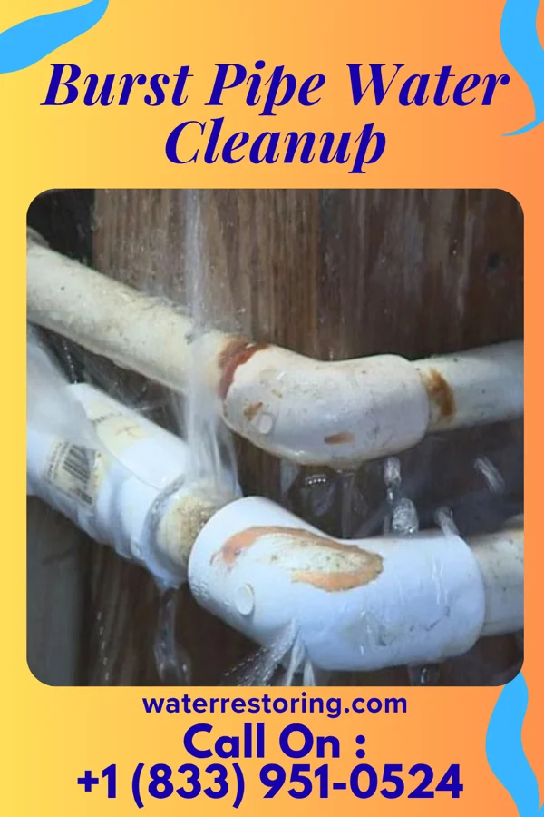 Burst Pipe Water Cleanup in Stillmore, GA