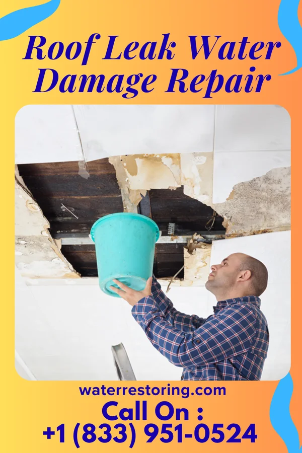 Roof Leak Water Damage Repair in Stillmore, GA