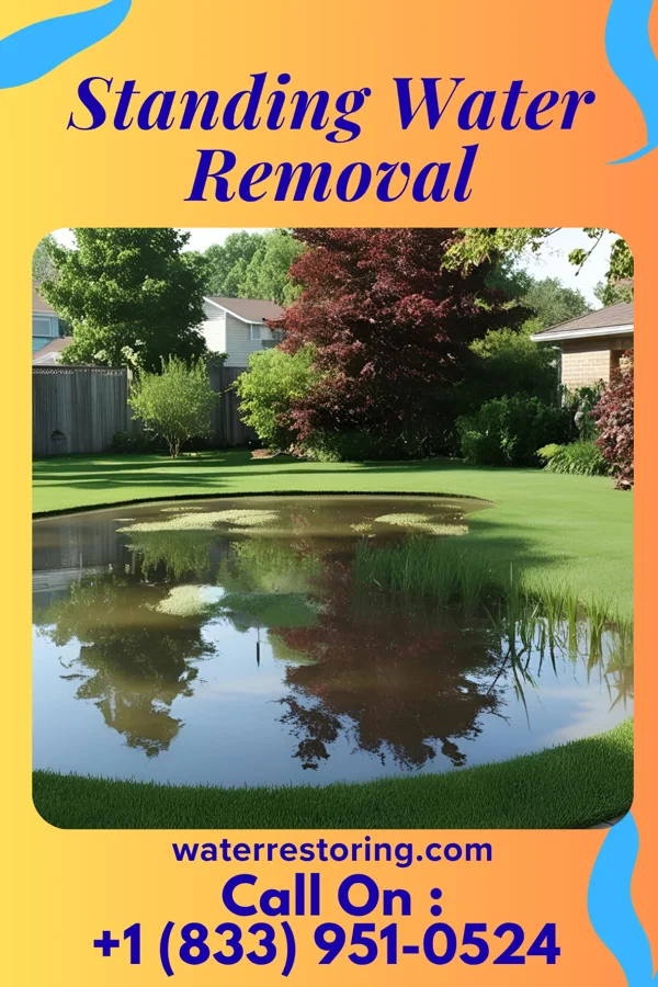 Standing Water Removal in Stillmore, GA
